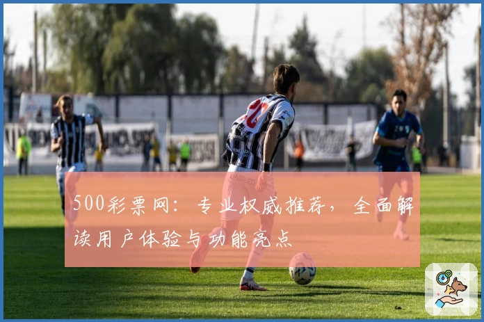 500彩票网：专业权威推荐，全面解读用户体验与功能亮点