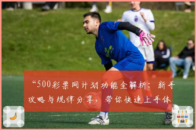 “500彩票网计划功能全解析：新手攻略与规律分享，带你快速上手体验”