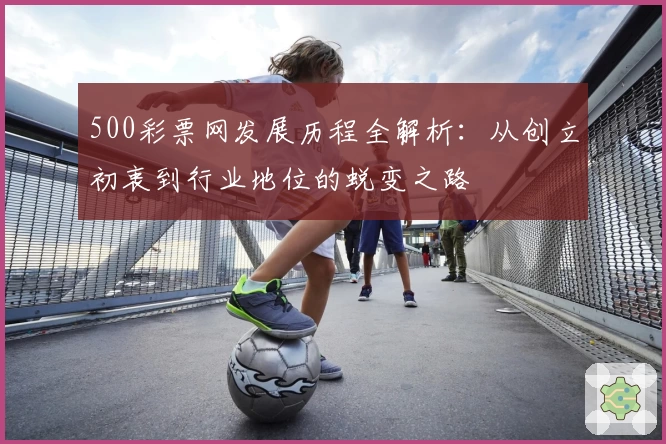 500彩票网发展历程全解析：从创立初衷到行业地位的蜕变之路