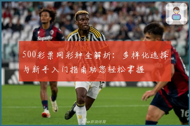 500彩票网彩种全解析:多样化选择与新手入门指南助您轻松掌握