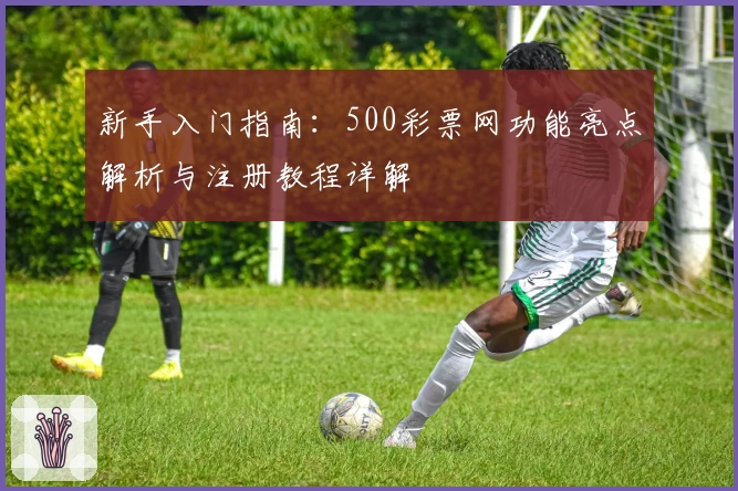 新手入门指南：500彩票网功能亮点解析与注册教程详解