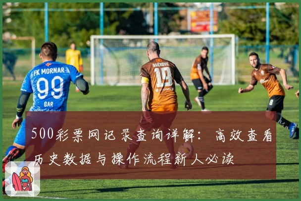 500彩票网记录查询详解：高效查看历史数据与操作流程新人必读