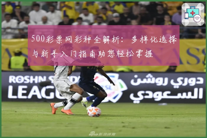 500彩票网彩种全解析：多样化选择与新手入门指南助您轻松掌握