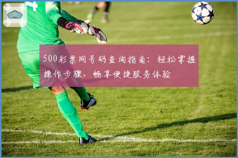 500彩票网号码查询指南：轻松掌握操作步骤，畅享便捷服务体验