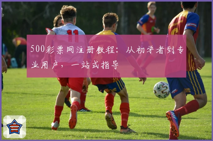 500彩票网注册教程：从初学者到专业用户，一站式指导